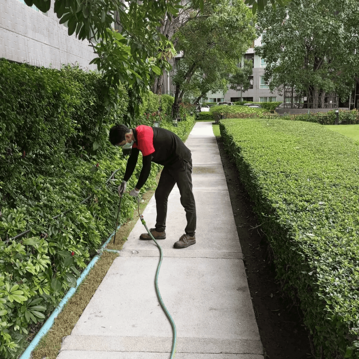 พนักงานกำลังกำจัดปลวก