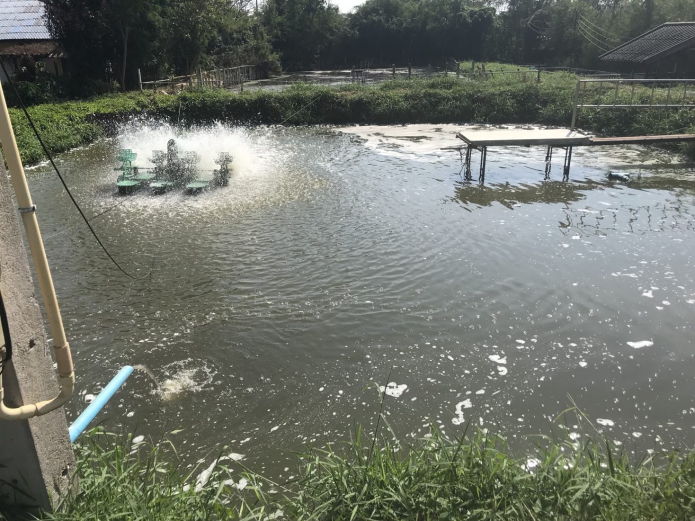 ระบบบำบัดน้ำเสียแบบบ่อเติมอากาศ Aerated Lagoon